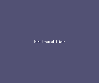 hemiramphidae meaning, definitions, synonyms