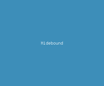 hidebound meaning, definitions, synonyms