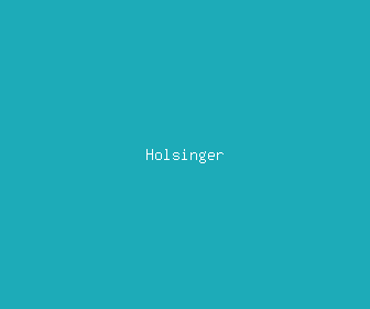 holsinger meaning, definitions, synonyms