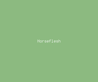 horseflesh meaning, definitions, synonyms