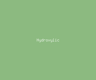 hydroxylic meaning, definitions, synonyms