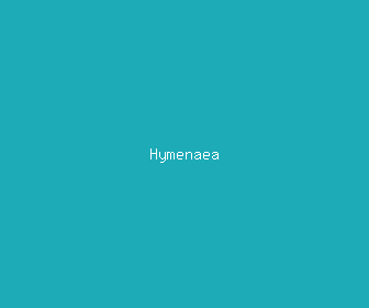 hymenaea meaning, definitions, synonyms