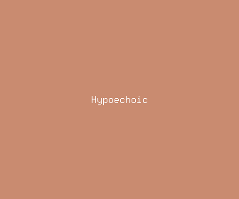 hypoechoic meaning, definitions, synonyms