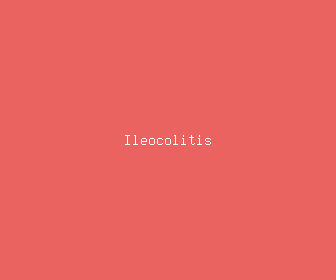 ileocolitis meaning, definitions, synonyms