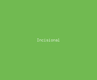 incisional meaning, definitions, synonyms