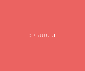 infralittoral meaning, definitions, synonyms