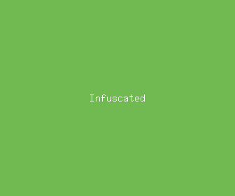 infuscated meaning, definitions, synonyms