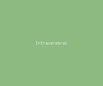 intracerebral meaning, definitions, synonyms