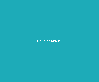 intradermal meaning, definitions, synonyms