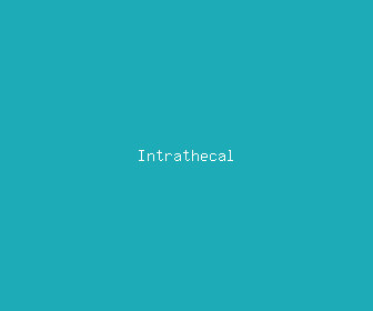intrathecal meaning, definitions, synonyms