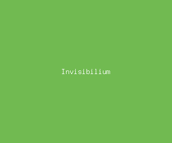 invisibilium meaning, definitions, synonyms
