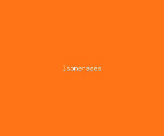 isomerases meaning, definitions, synonyms