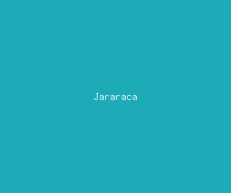 jararaca meaning, definitions, synonyms