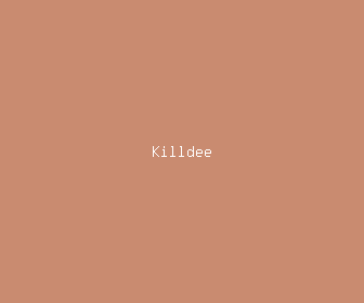 killdee meaning, definitions, synonyms