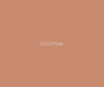 killifish meaning, definitions, synonyms