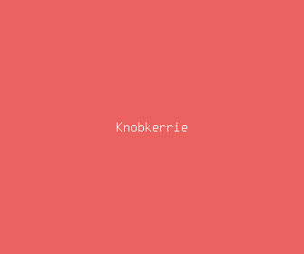 knobkerrie meaning, definitions, synonyms