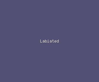 labiated meaning, definitions, synonyms