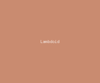 lambdoid meaning, definitions, synonyms