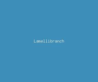 lamellibranch meaning, definitions, synonyms