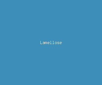 lamellose meaning, definitions, synonyms