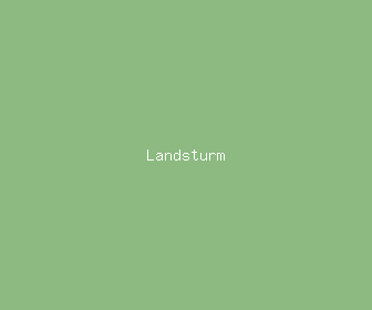 landsturm meaning, definitions, synonyms