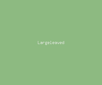 largeleaved meaning, definitions, synonyms
