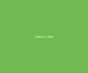 lemuridae meaning, definitions, synonyms