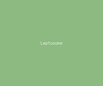 leptosome meaning, definitions, synonyms