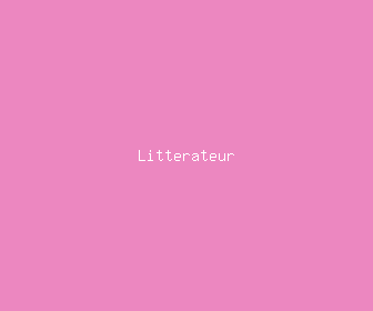 litterateur meaning, definitions, synonyms