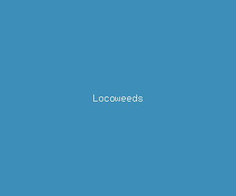 locoweeds meaning, definitions, synonyms