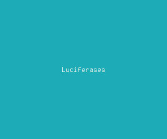 luciferases meaning, definitions, synonyms