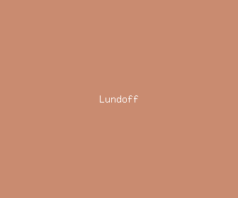 lundoff meaning, definitions, synonyms
