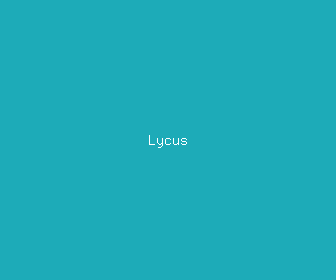 lycus meaning, definitions, synonyms