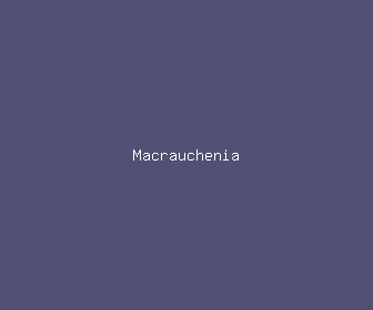 macrauchenia meaning, definitions, synonyms