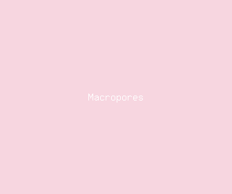macropores meaning, definitions, synonyms