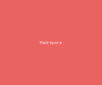 madrepore meaning, definitions, synonyms