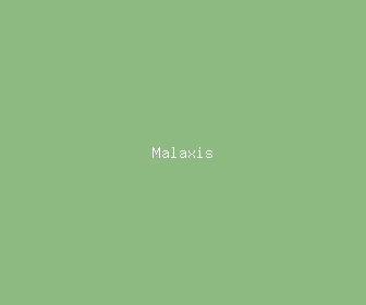malaxis meaning, definitions, synonyms