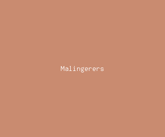 malingerers meaning, definitions, synonyms