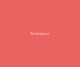 melanopsin meaning, definitions, synonyms