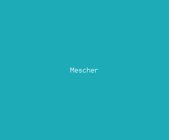 mescher meaning, definitions, synonyms
