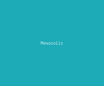 mesocolic meaning, definitions, synonyms
