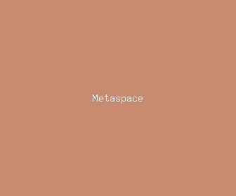 metaspace meaning, definitions, synonyms