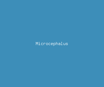 microcephalus meaning, definitions, synonyms