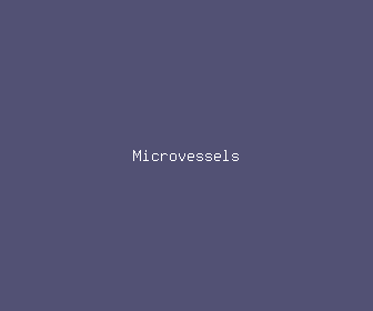 microvessels meaning, definitions, synonyms