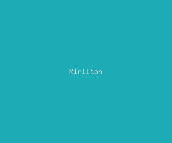 mirliton meaning, definitions, synonyms