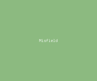 misfield meaning, definitions, synonyms