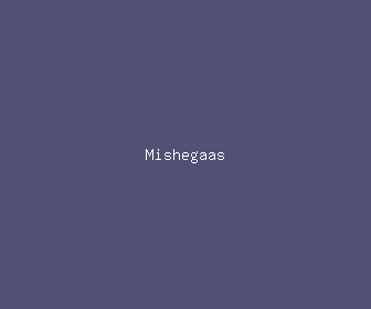 mishegaas meaning, definitions, synonyms