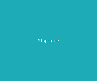 mispraise meaning, definitions, synonyms