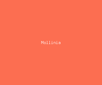 mollinia meaning, definitions, synonyms