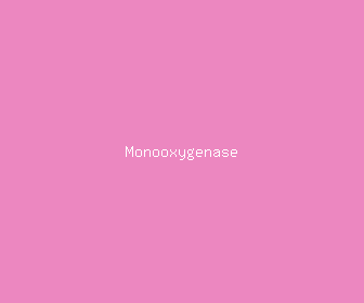monooxygenase meaning, definitions, synonyms